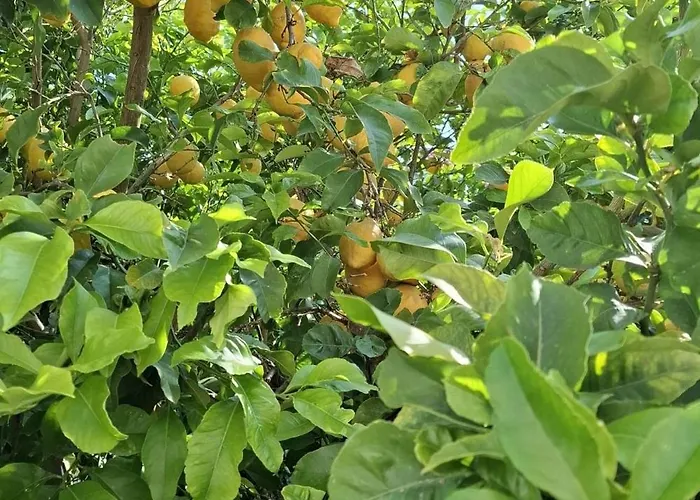 With Parking Space Artatore, Losinj - 24890